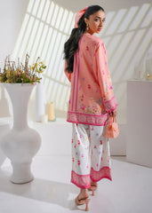 Raang-e-Falak ๐๐ 2 Pcs Kurti Set